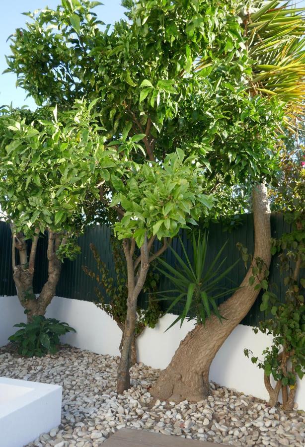 Villa A Sul Albufeira Extérieur photo